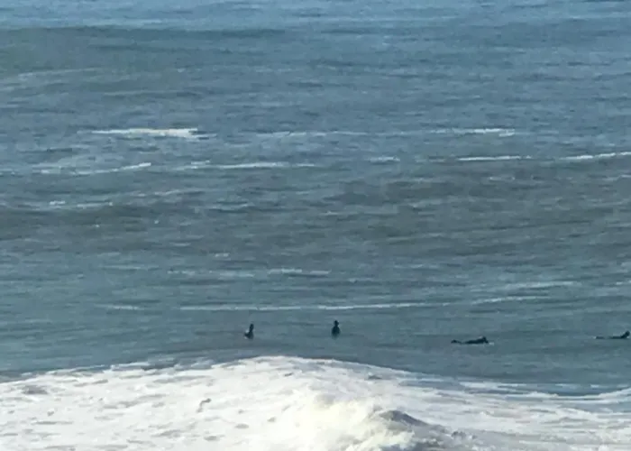 Casa vacanze Casa Sardine *